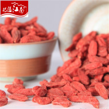 Nouveau distributeur de fournitures tibet goji berry